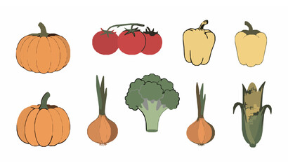 Fototapeta premium Hand drawn vegetables set farm garden harvest flat vector