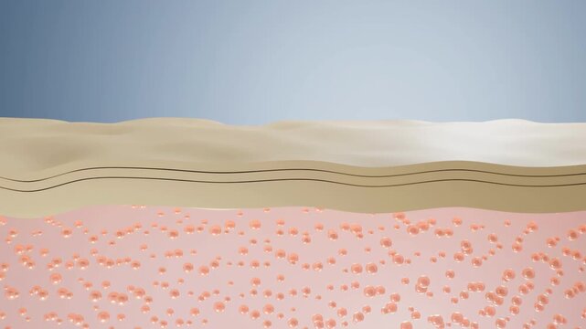 3D modeled animation of a skin cross section with an injected serum drop, using detailed 3D modeling to visualize cosmetic ingredient delivery beneath the skin surface for aesthetic skincare concepts.
