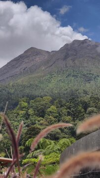 Mount Sinabung Volcano with Smoke and Tropical Forest in North Sumatra