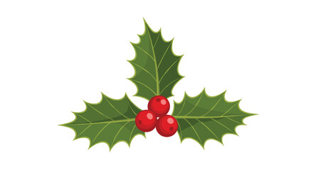 Traditional Christmas symbol of green holly leaves with vibrant red berries in the center isolated on a white background for holiday design.
