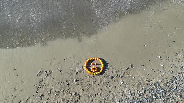 Beach, sea photo shoot with an orange smiley face. Oranges beach ocean.High quality photo