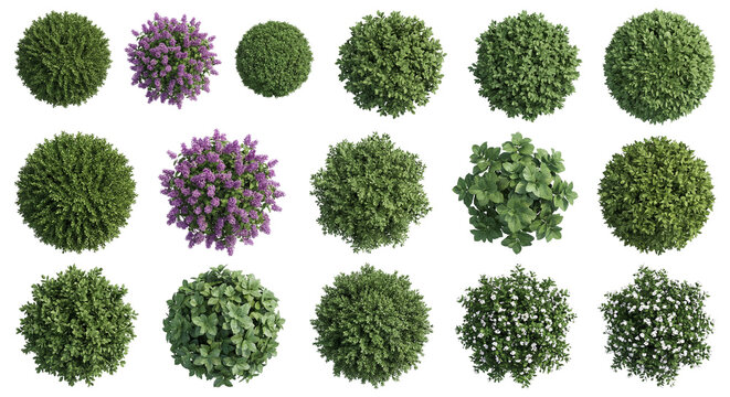 Collection of round garden bushes and flowering shrubs in top view