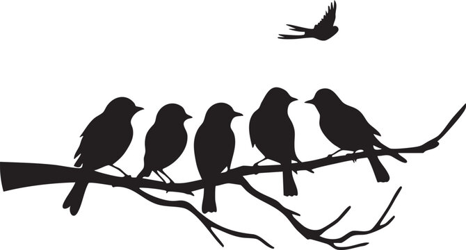 Groupe de moineau sur une branche et volant sur un fond transparent - Silhouette
