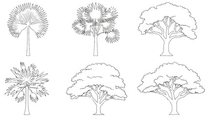 A collection of detailed tree drawings on a white background illustration