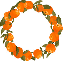 A frame of tangerines hanging from a branch with leaves in the background. Vector illustration on a isolated background.