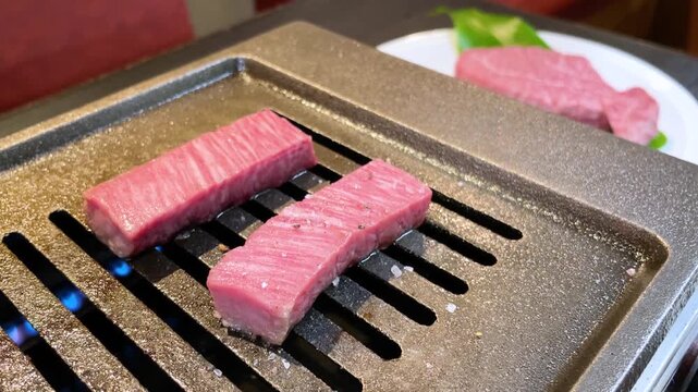 ロースター 焼肉 シャトーブリアン