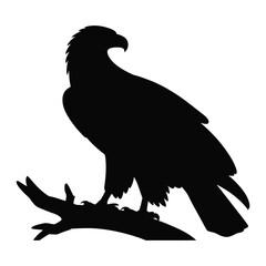 Eagle perched on branch Vector, Silhouette, Illustration