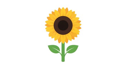 Obraz premium Sunflower icon, isolated on white.
