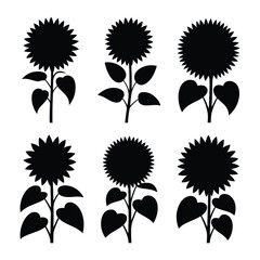 Sunflowers Vector, Silhouette, Illustration