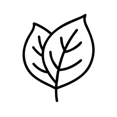 Line art illustration of two leaves on a white background  