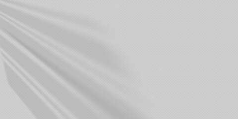 Glare from the sun s rays on the wall. Blurred shadows from leaves and plants in the room. Soft overlay of natural light. Abstract background for product