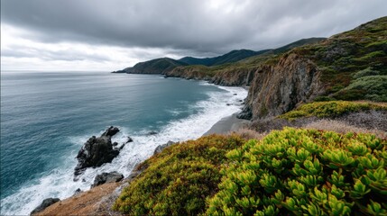 Wild coastal vegetation on windy cliffside under moody cloud cover. 