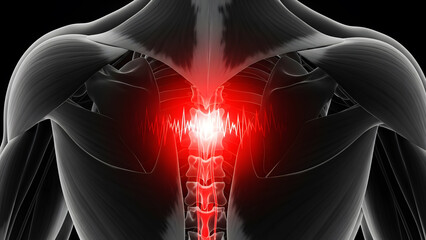 Holographic Spine with Red Highlight Indicating Back Pain