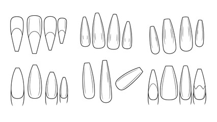Obraz premium Illustrative vector set showcasing a diverse range of artificial nail shapes, including stiletto, coffin, almond, and square designs, perfect for beauty, fashion, and manicure-related content