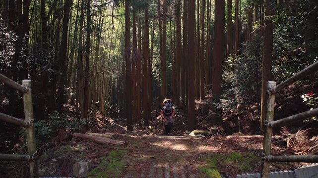 Girl hiker walking in the forest with a straw hat and a backpack in Japan