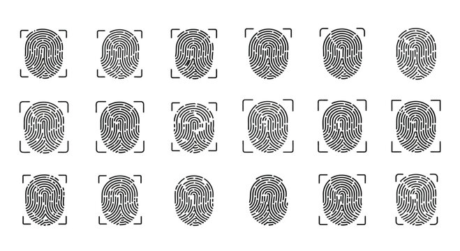 Array of fingerprint patterns