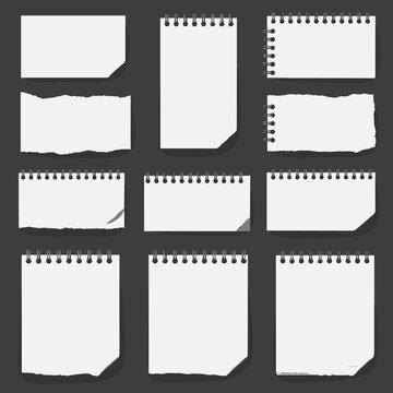 Collection of various notebook pages and paper scraps with spiral bindings and torn edges arranged on a dark grey background.