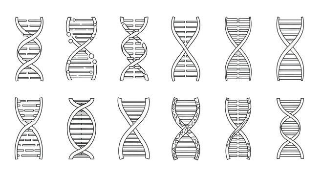 Collection of dna double helix structures in various orientations - Powered by Adobe