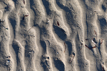 Natural patterns of sand ripples on a beach in Paphos, Cyprus, created by wind and tidal movement. Fine-grained golden sand texture showing rhythmic ridges and shadows.