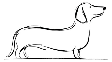 Hand drawn line art illustration of a dachshund dog depicting a standing profile for animal design
