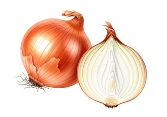 Watercolor illustration of a whole fresh brown onion with papery skin and a halved onion revealing transparent layers, on a transparent background with copy space. Culinary freshness.