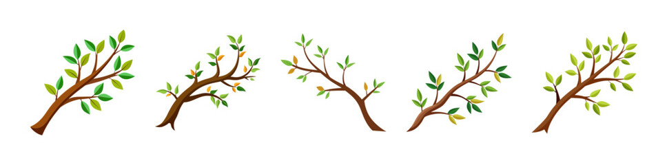 Obraz premium Vector tree branches with green leaves, nature growth spring symbol