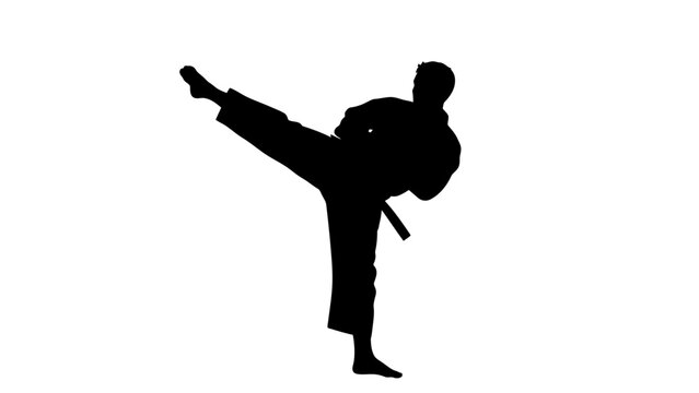 Silhouette of Martial Artist in Action Pose.