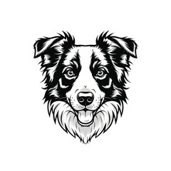 Naklejka premium Adobe Illustrator Artwork