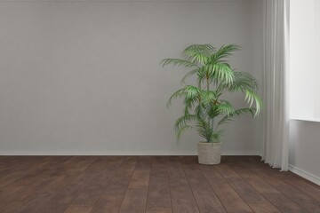 modern room with plant in flowerpot interior design. 3D illustration