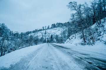 winter road through the forest