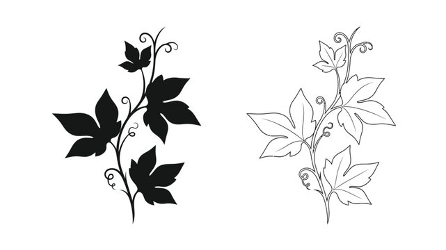 Simple black and white illustration of ivy leaves and winding stems