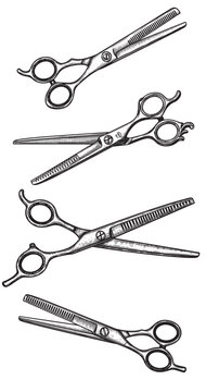 Barber scissors vintage engraving illustration isolated on white background