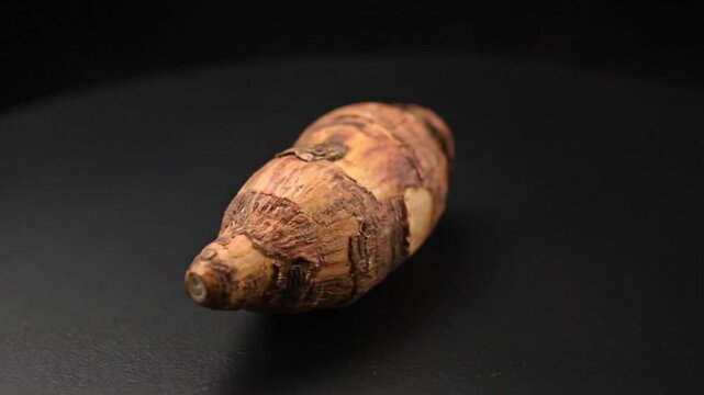 Close-up of a taro root bulb rotating against a smooth black background in a studio setting