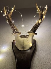 gold crown with diamonds