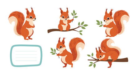 Fototapeta premium A cute collection of five cartoon red squirrels in different poses, plus a blank frame for text, perfect for kids' designs.