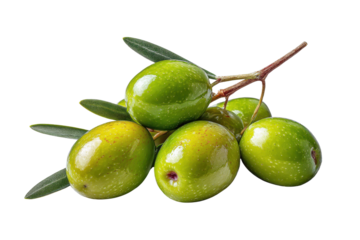 Cluster of fresh green olives with leaves on woody stems against dark background branch