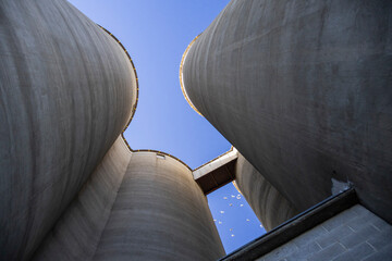 Abandoned grain silos and birds caught in sunlight