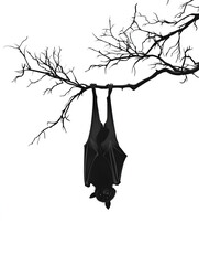 Bat hanging upside down on a tree branch