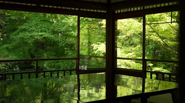 京都 瑠璃光院の青もみじと写り込みが美しい日本庭園｜静寂と和の風景
