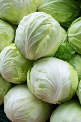 Fototapeta premium Fresh green cabbage pile displayed at market