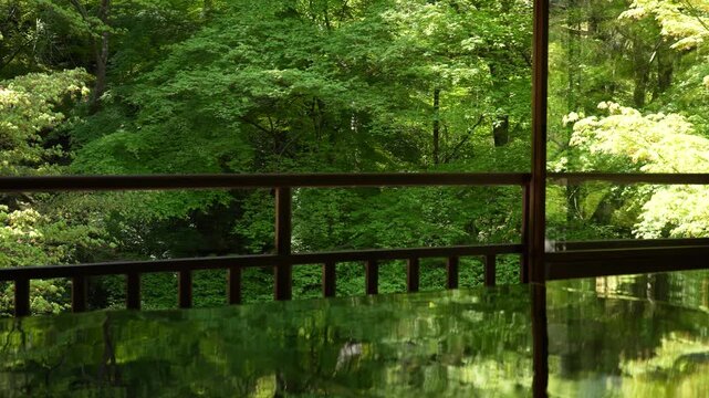 京都 瑠璃光院の青もみじと写り込みが美しい日本庭園｜静寂と和の風景