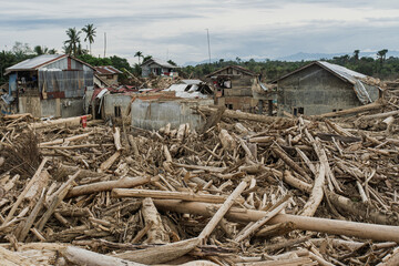 Flash Flood Aftermath: Neighborhood Destroyed by Massive Log Debris