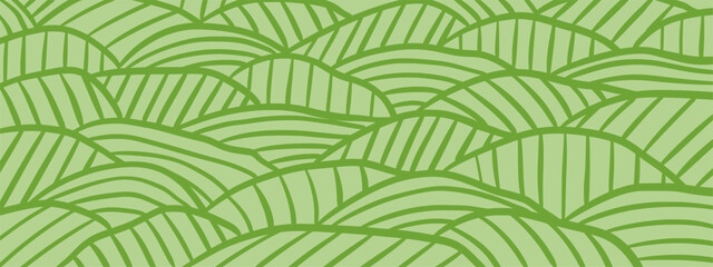 Obraz premium Vineyard field pattern. Wavy stripe farm hills and curved line landscape