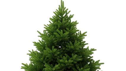 Lush green christmas tree with dense branches and vibrant needles suitable for holiday decoration and festive themes isolated on transparent background