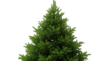 Lush green christmas tree with dense branches and vibrant needles suitable for holiday decoration and festive themes isolated on transparent background