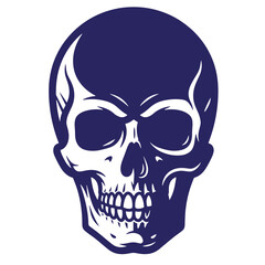 Obraz premium Human skull in a graphic illustration style with a menacing expression on a white background