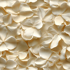 Jasmine petals texture seamless botanical floral background
