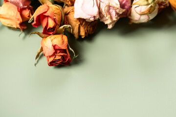 Dried roses laid out on green background. Natural aging. The beauty of the flower.