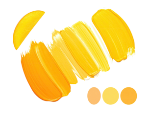 Yellow paint strokes & color swatches, isolated