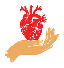 Human Heart In Hand  Vector Illustration on White Background Shows Healthcare Concept Icon.